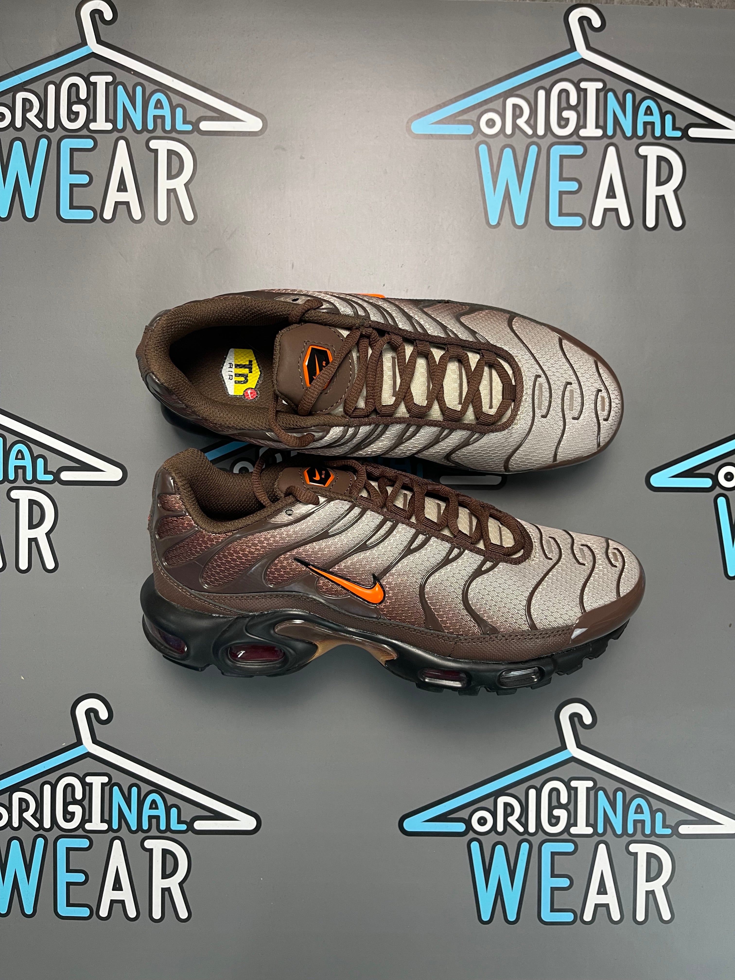 Nike Air Max TN “Brown Destiny”
