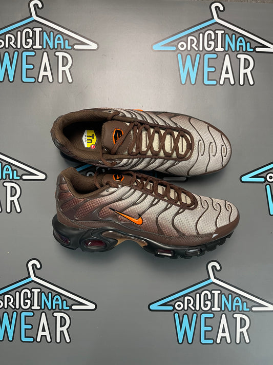 Nike Air Max TN “Brown Destiny”