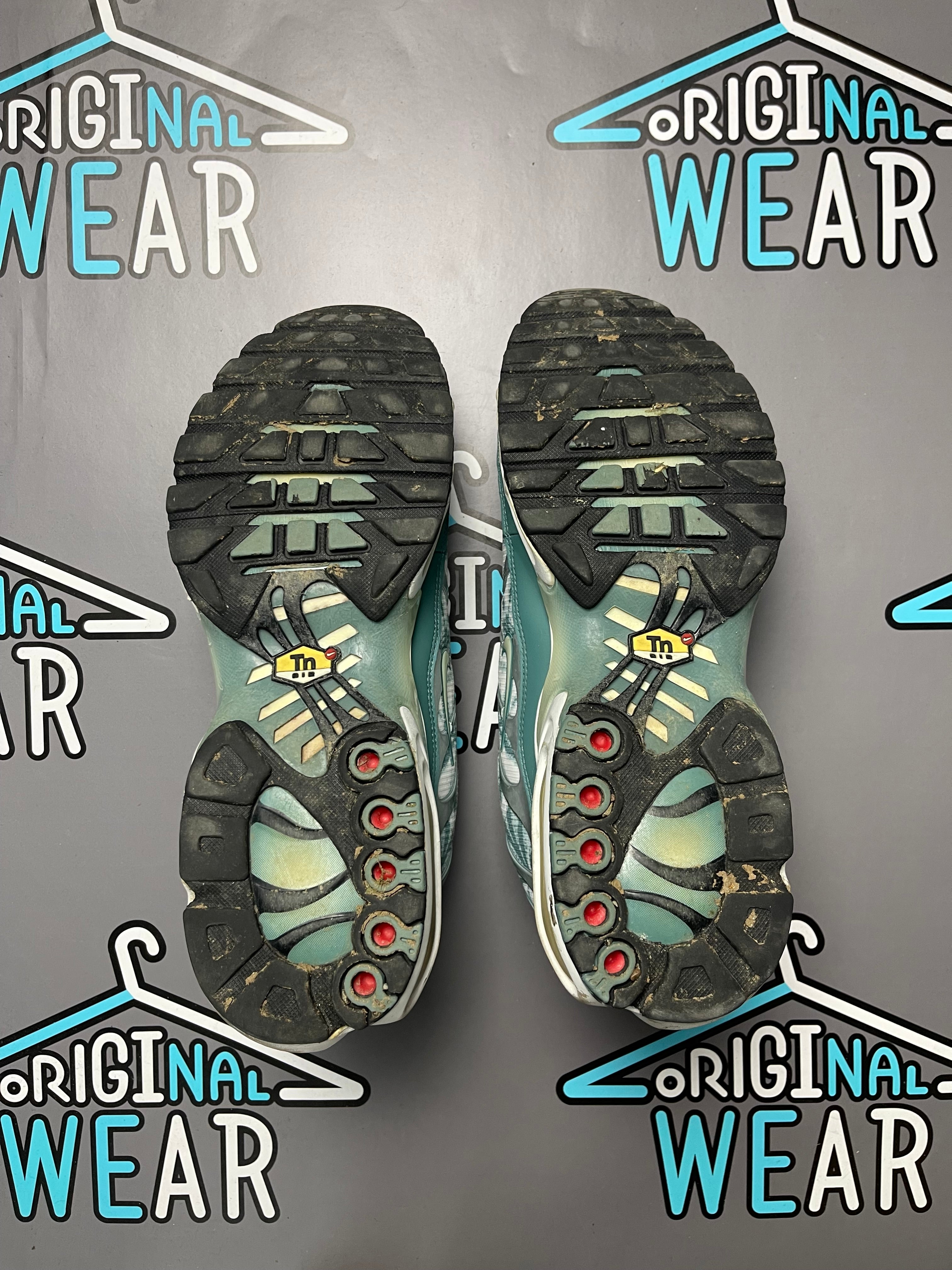 Nike Air Max Plus “Palm Trees”